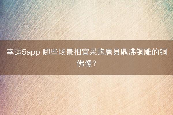 幸運(yùn)5app 哪些場(chǎng)景相宜采購唐縣鼎沸銅雕的銅佛像?