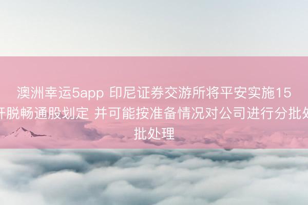 澳洲幸運5app 印尼證券交游所將平安實施15%開脫暢通股劃定 并可能按準(zhǔn)備情況對公司進行分批處理